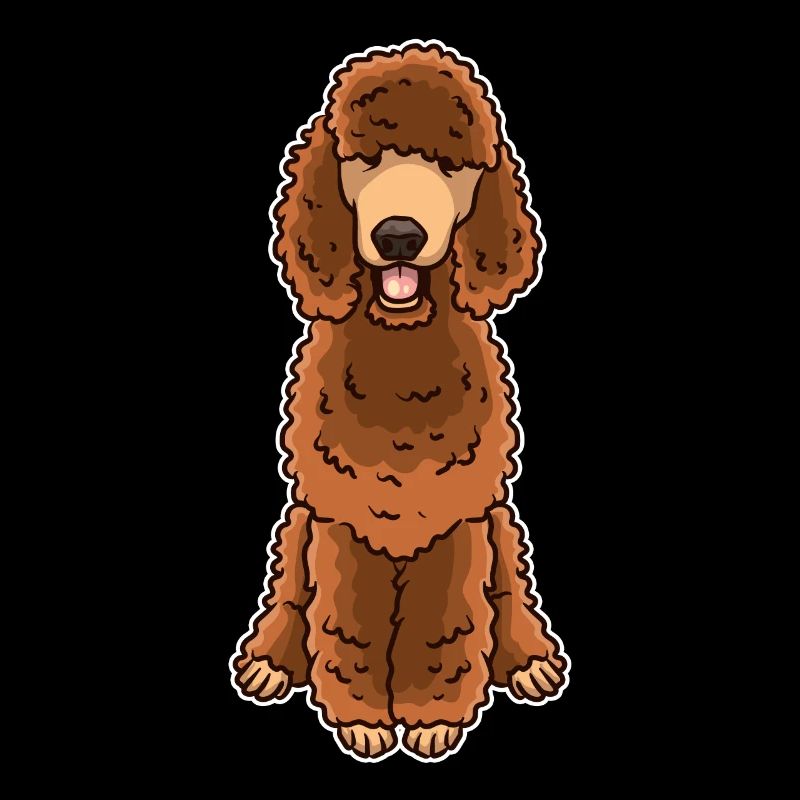 Caniche brun