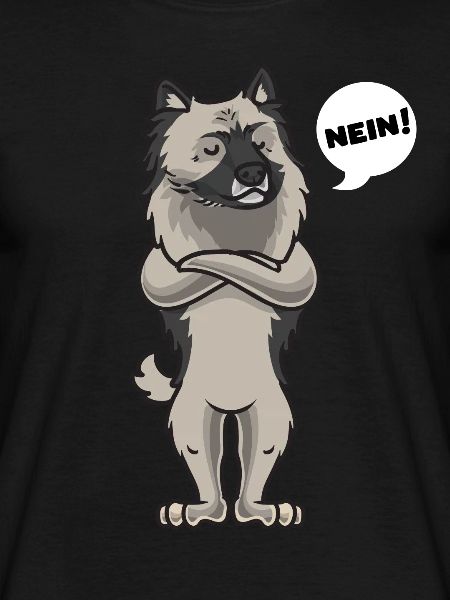 Sturer Wolfsspitz Keeshond
