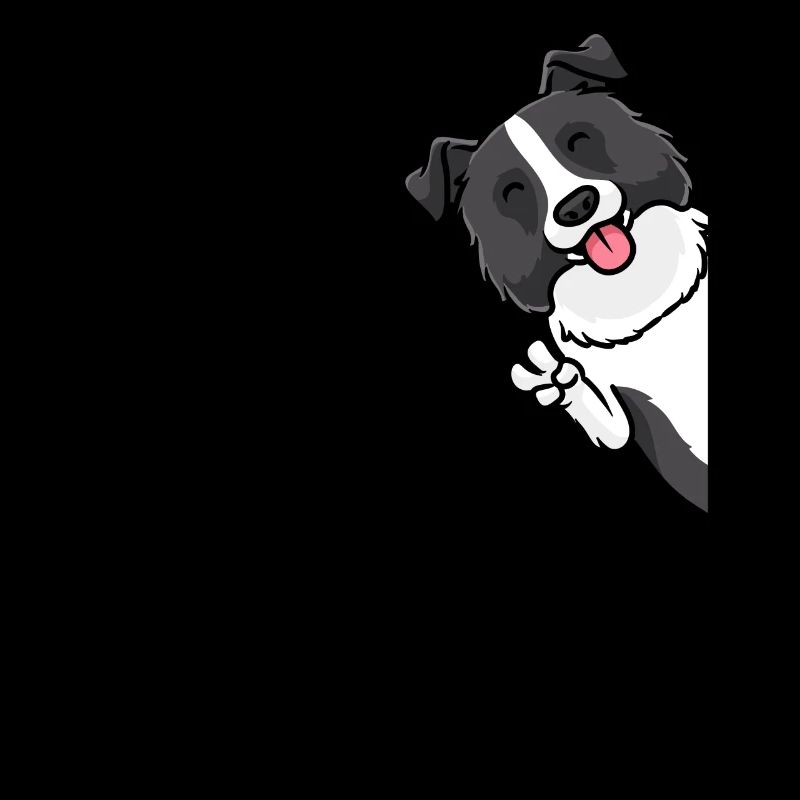 Border Collie Hund