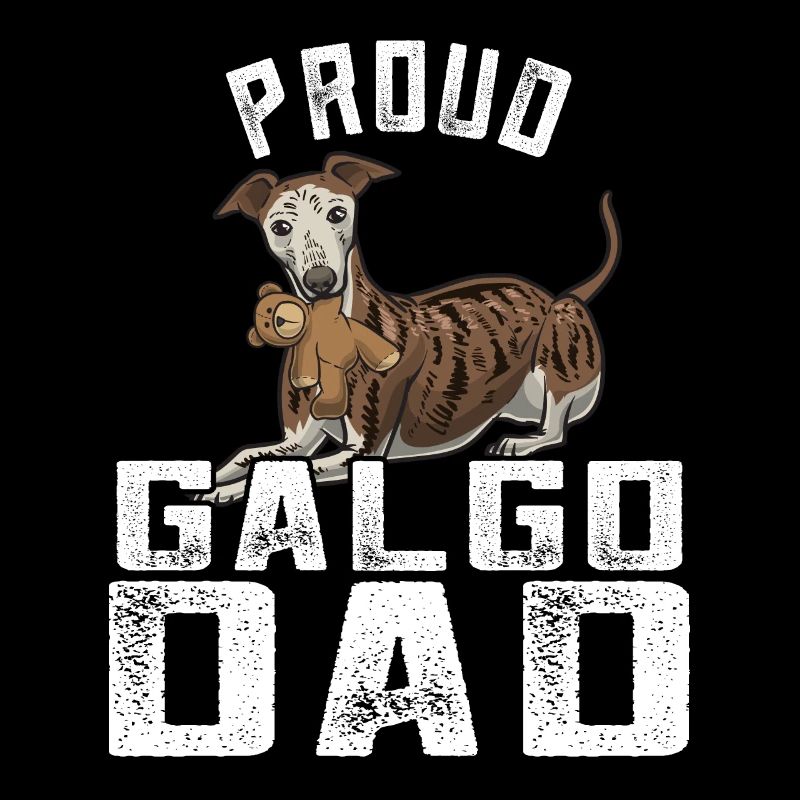 Galgo Espanol Papa