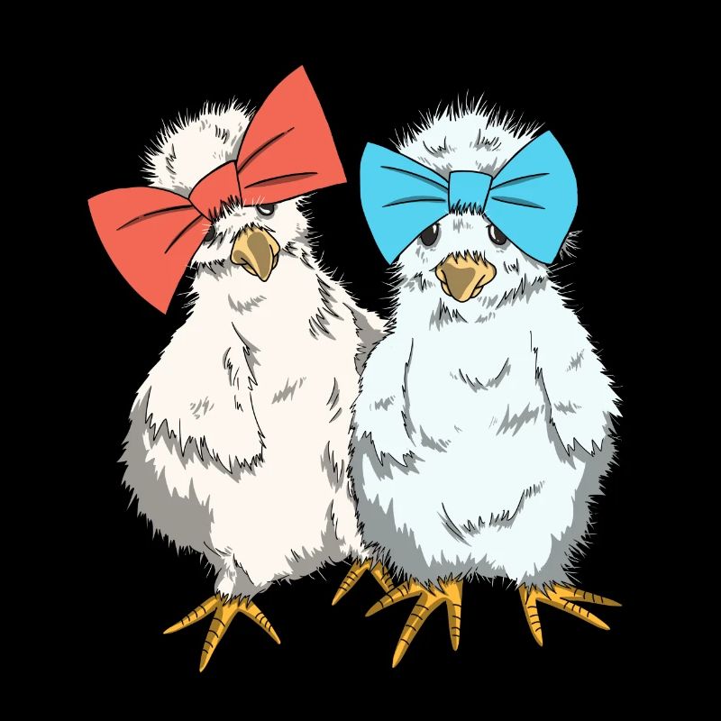 Chickens Silk Chicken Breed Chicken Silk Chickens