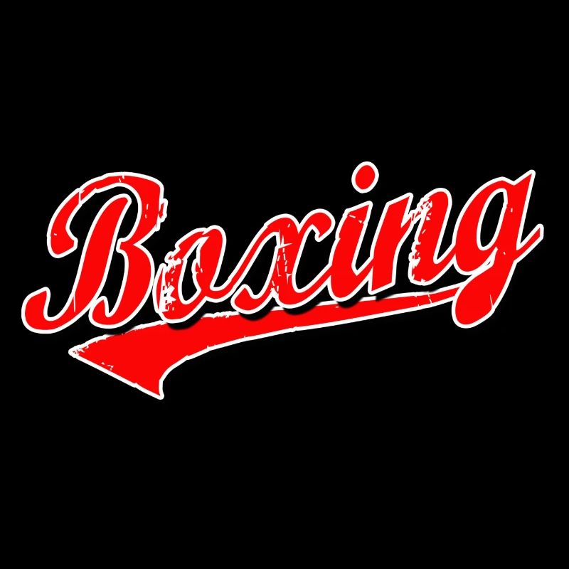 boxe boxe boxer mma combat coup de pied coup de poing sparring ko