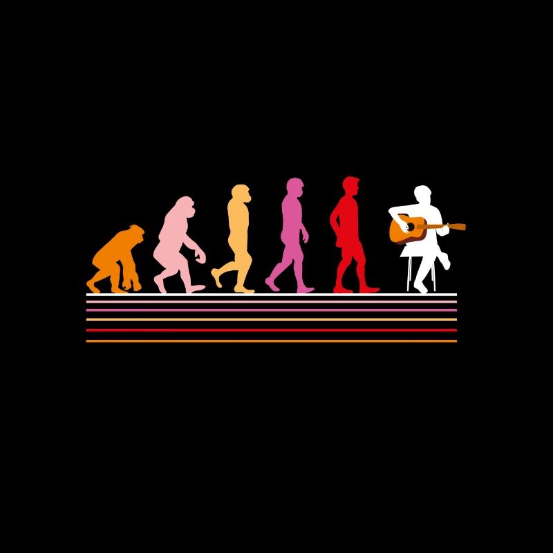 ÉVOLUTION DE LA GUITARE