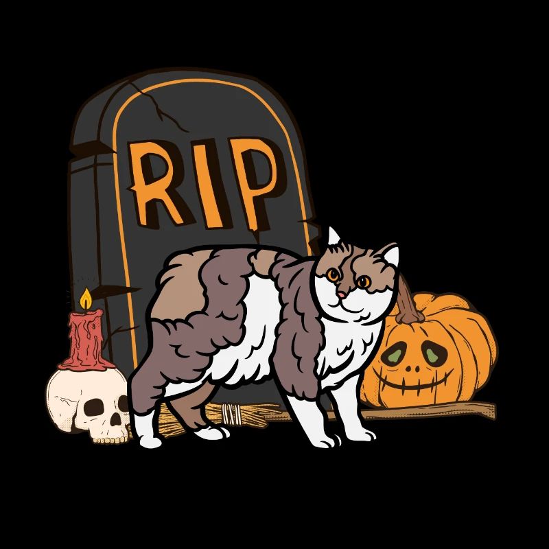 Mignon Chat d’Halloween Manx