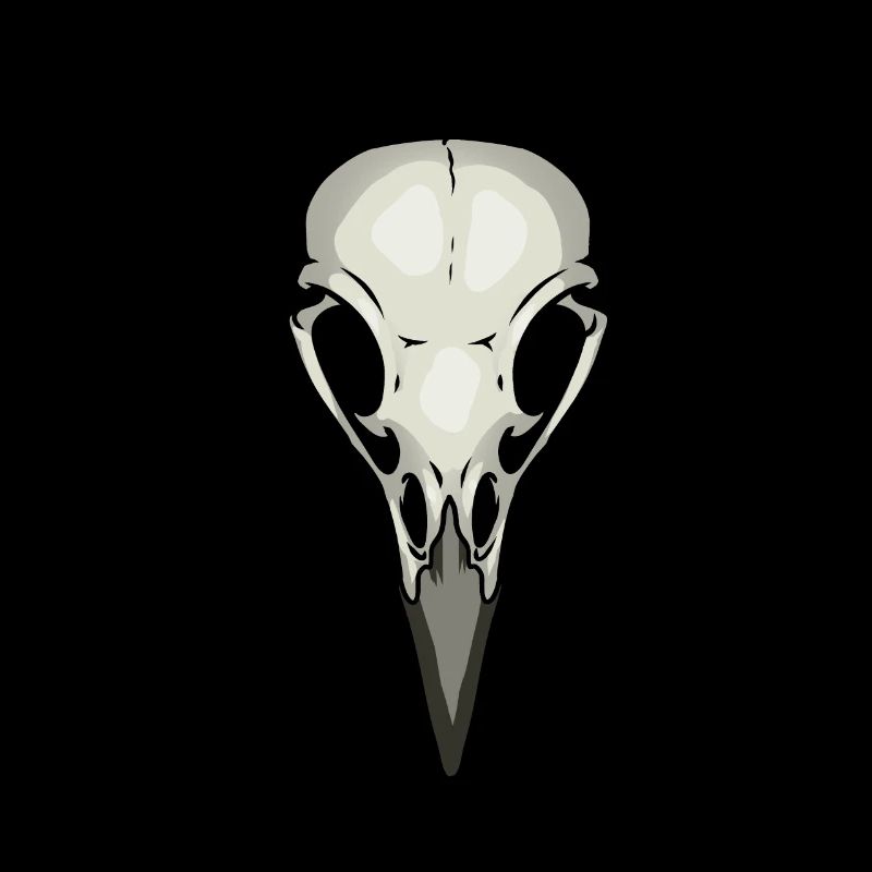 Raven Crow Bird Skull Skull Death Voodoo