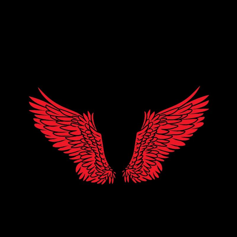Ailes Ailes d’ange Ange céleste Satan Diable