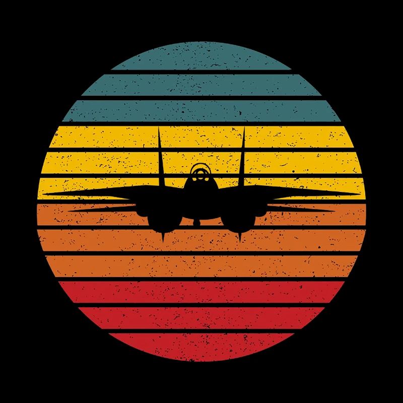 F-14 Tomcat jet fighter on sunset