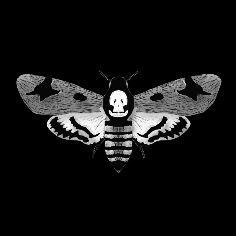 Papillon de nuit