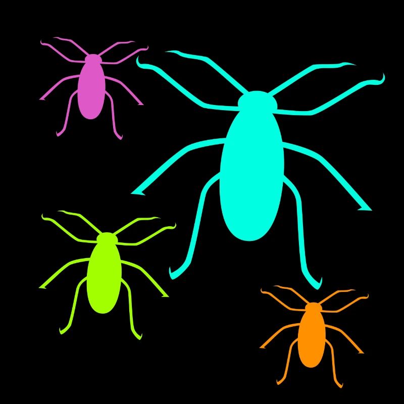 insectes