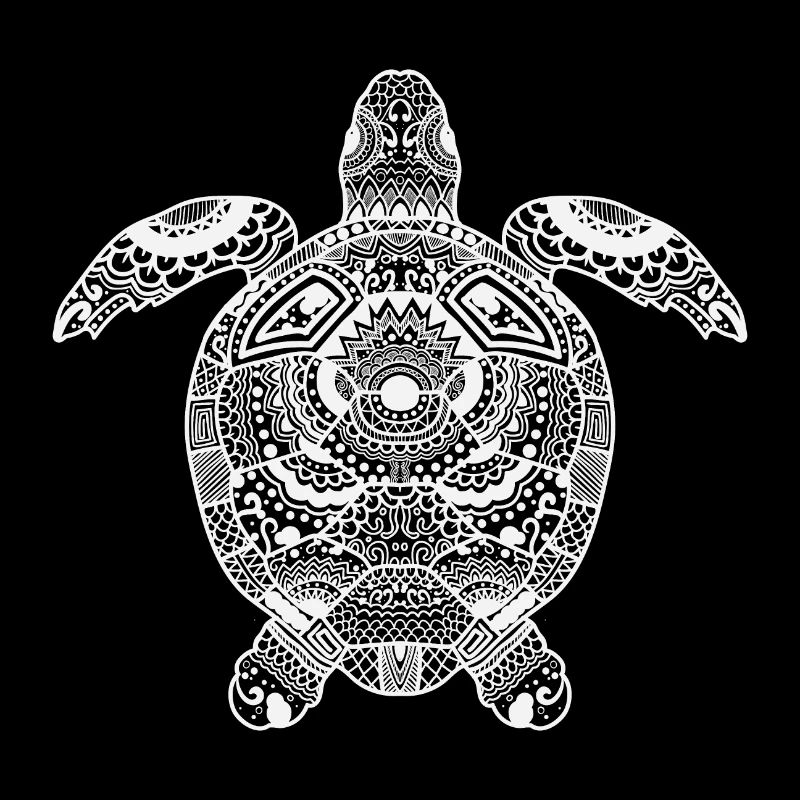 turtle