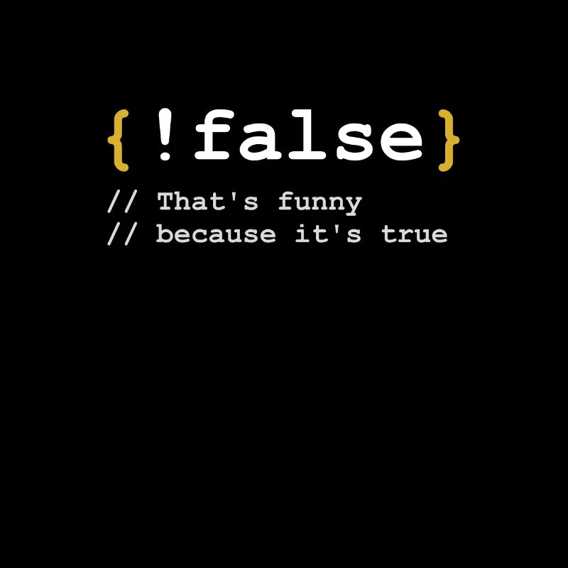 False Geschenk für Informatiker