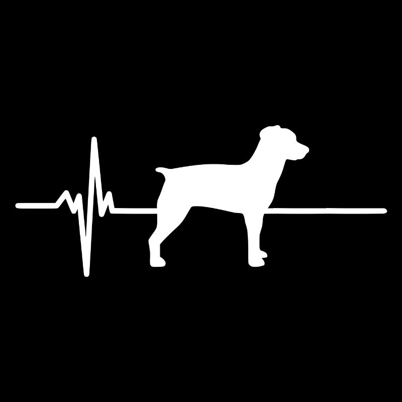 Herzschlag Kleiner Münster Spaniel