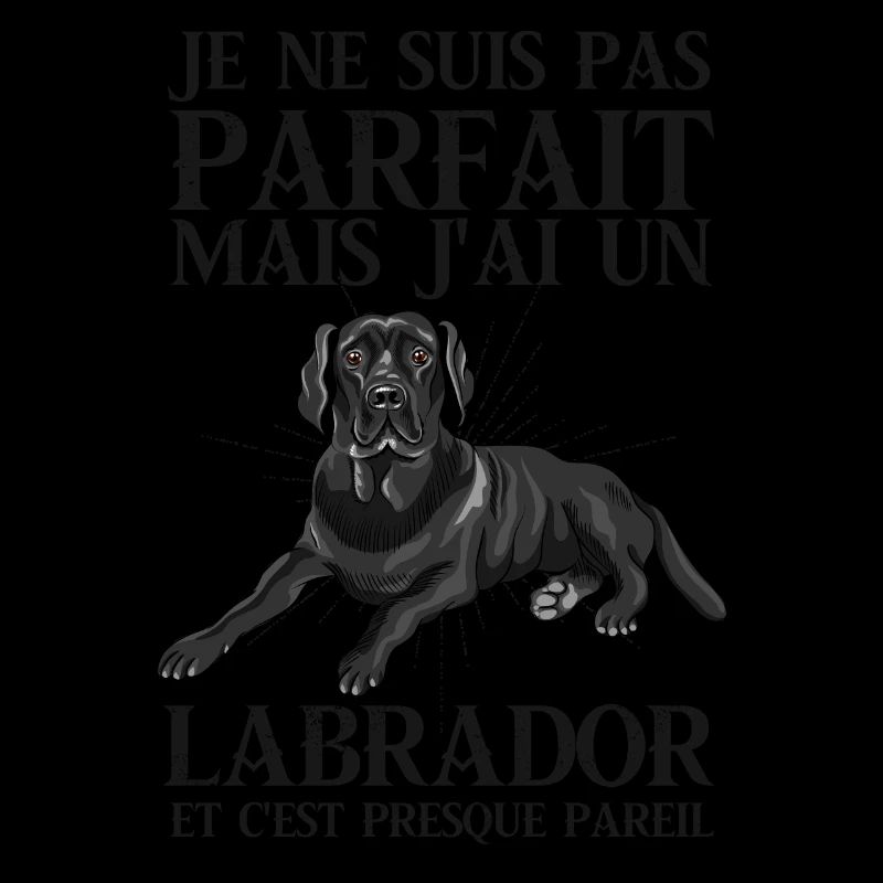 Chien de race Labrador
