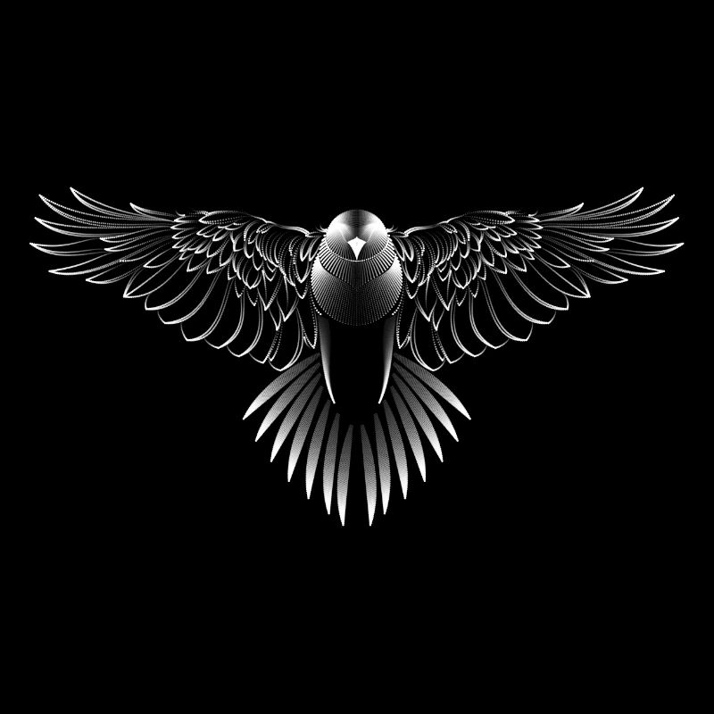 Wunderschöne Tiergrafik mit Bussard