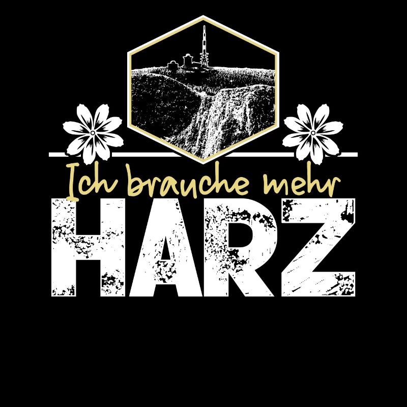 Harz Vacances Harzer Brocken