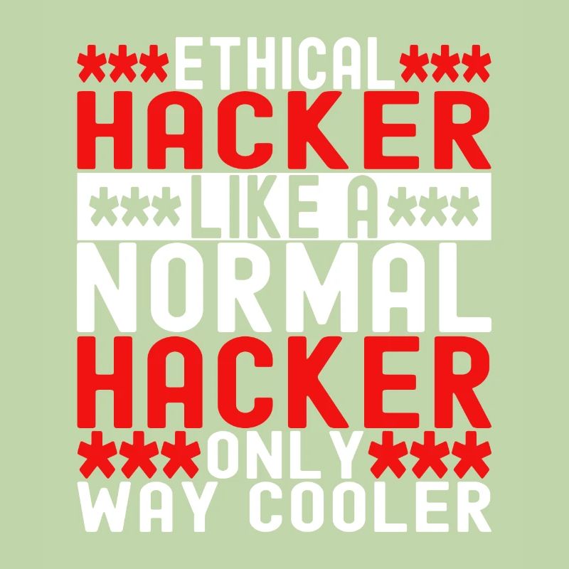 Programmer Cyber Security