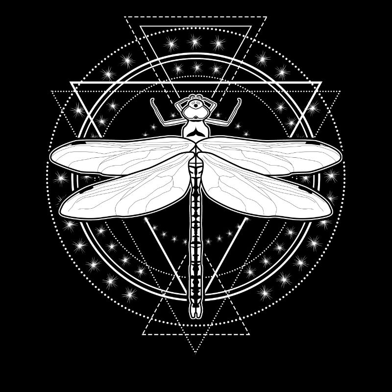 Libellule Occulte Libellules