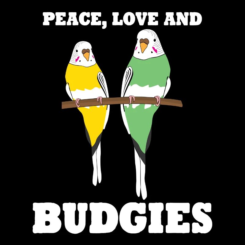 Budgerigar Oiseaux Budgerigars