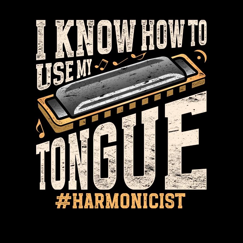Harmonica harmonica player