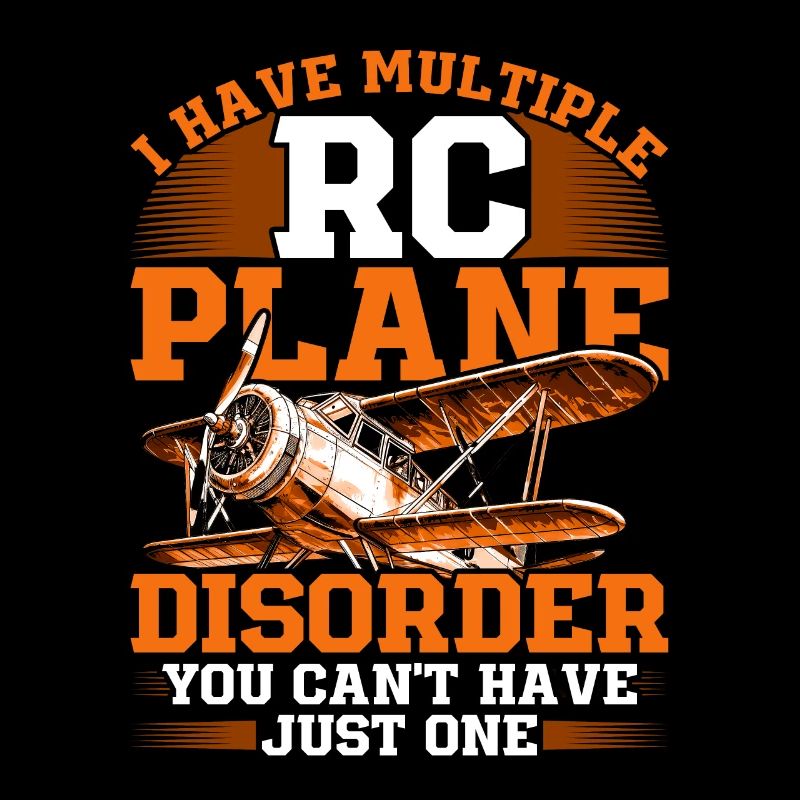 Modellflugzeug Modellflieger