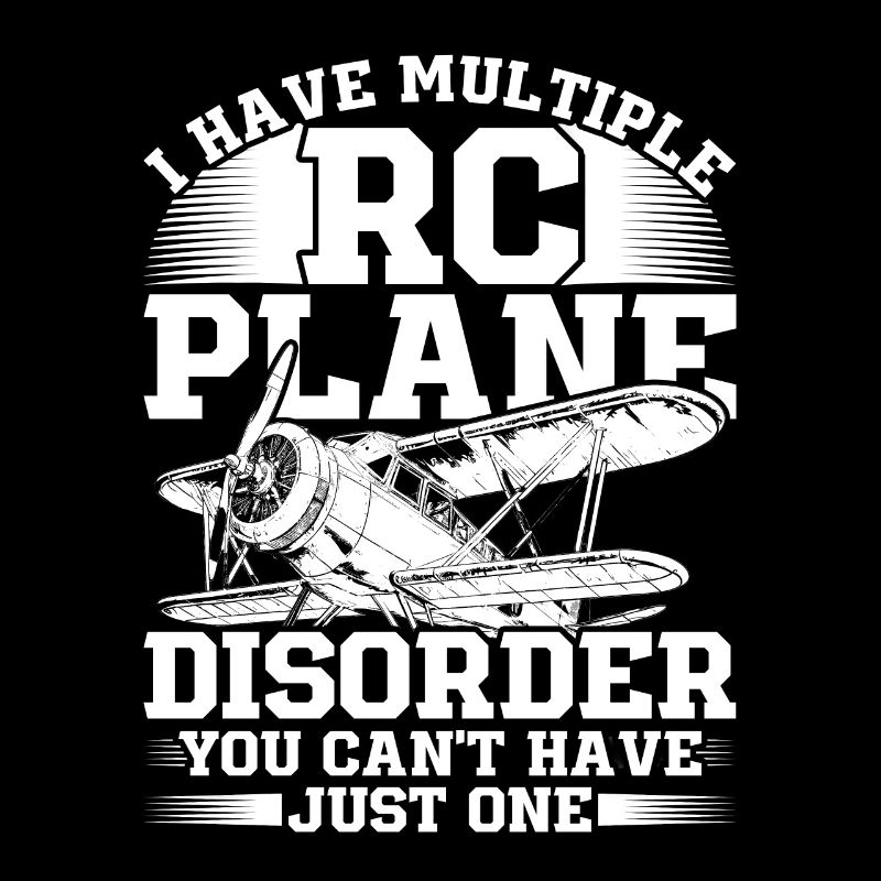 Modellflugzeug Modellflieger