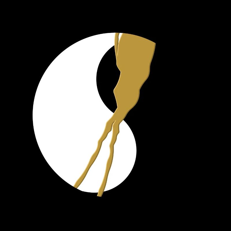 Kintsugi Kintsukuroi