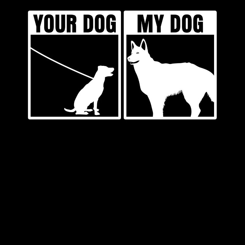German Shepherd White Shepherd Dogs Dog