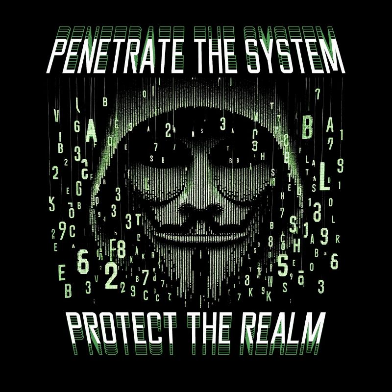 Penetrationstester Penetrate the system