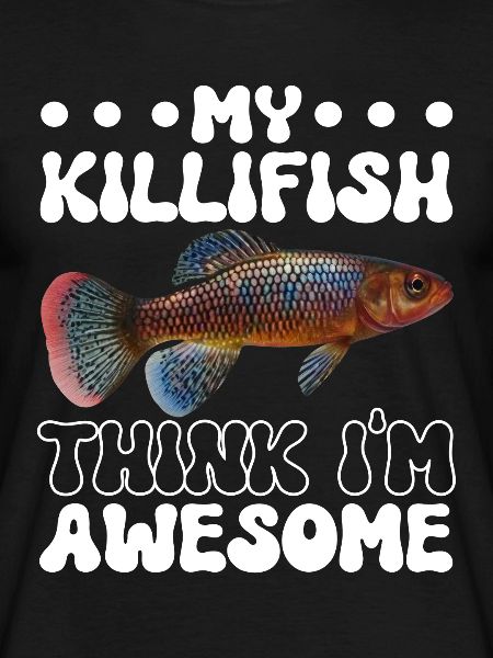 Killifish Quarium Fish