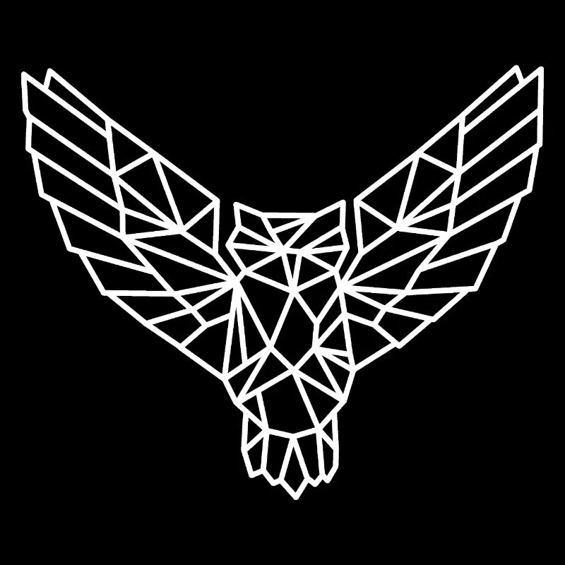 Owl Geometric Line