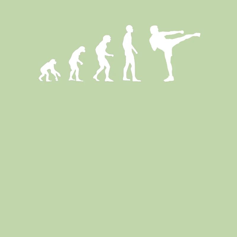 karate kick shirt Evolution geschenk gift idee
