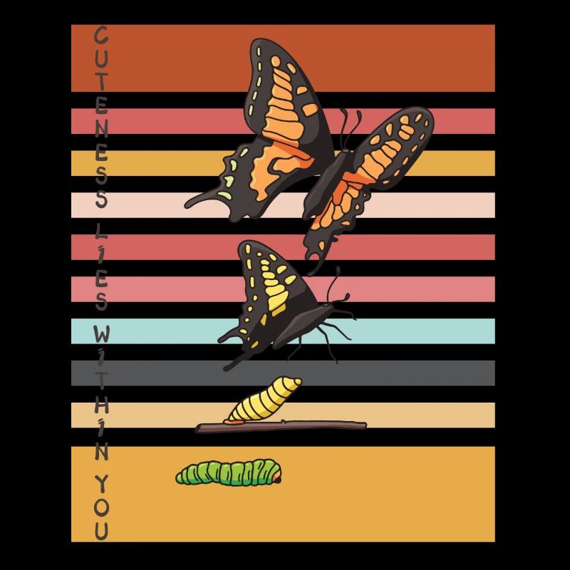 Cute Butterfly Evolution Butterflies