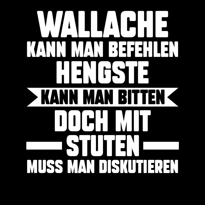 Reiten Reiter Pferd Pferde