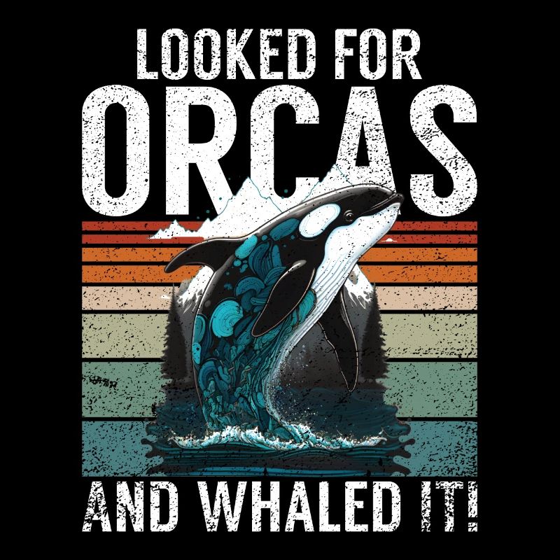 Killerwal Schwertwal Wale beobachten Orca Wal