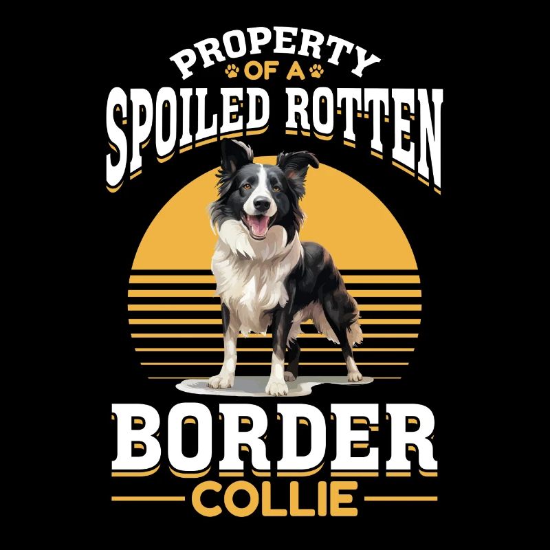 Border Collie Chien Propriété d’un pourri gâté