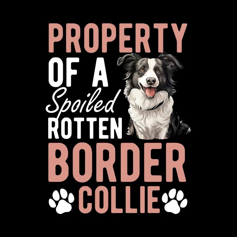 Border Collie Chien Propriété d’un pourri gâté