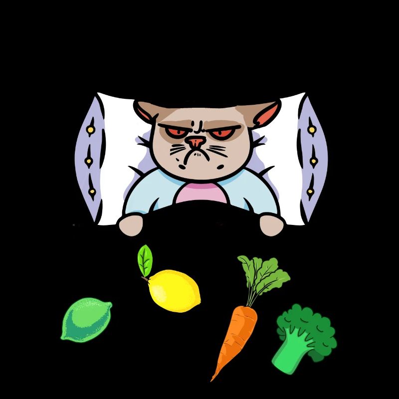 Chat Grippe Lit Vitamines Santé Malade
