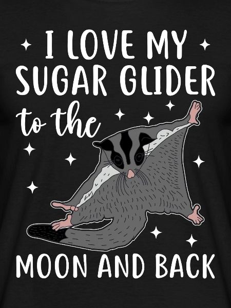 Sugar glider