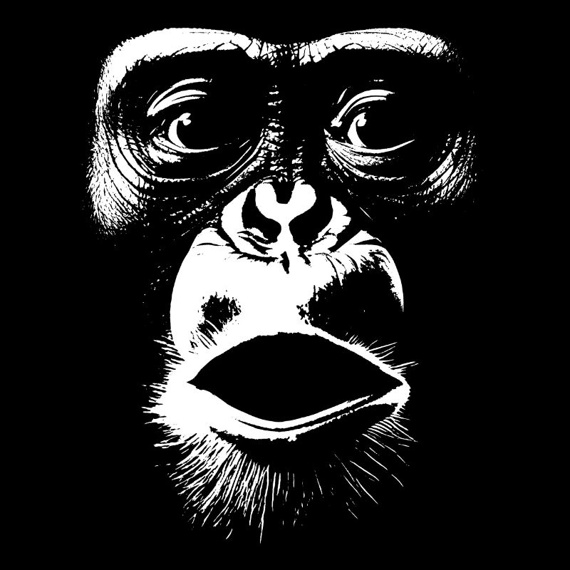 Funny Monkey T-Shirt