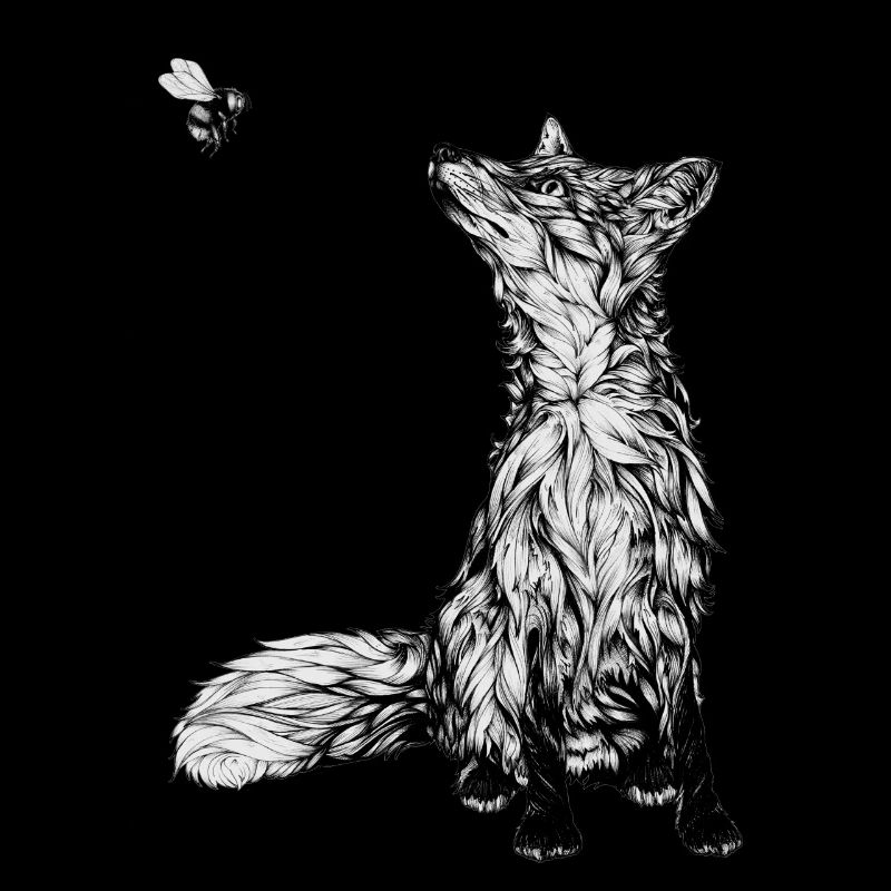 Renard et bourdon