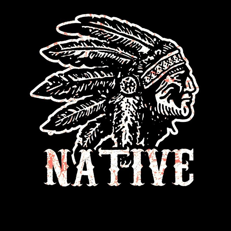 Indianer Ureinwohner Native Geschichte USA