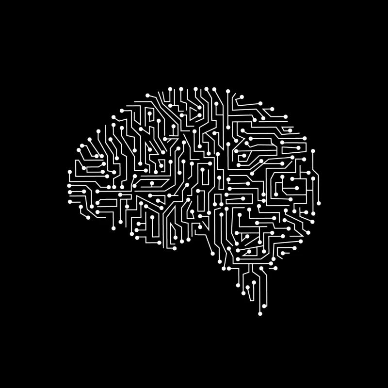 Brain circuit white