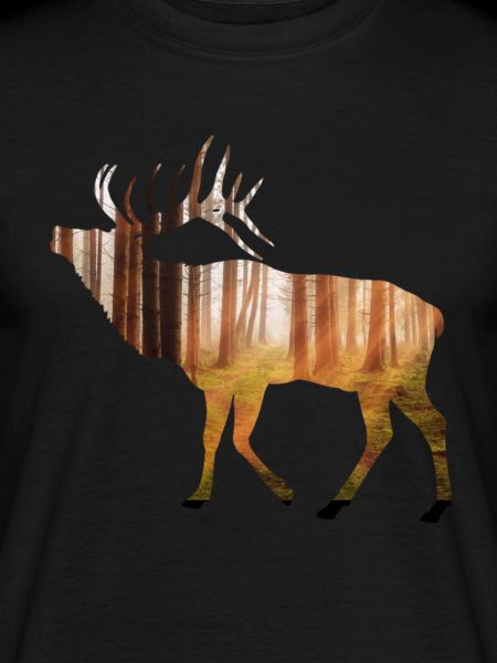 Moose