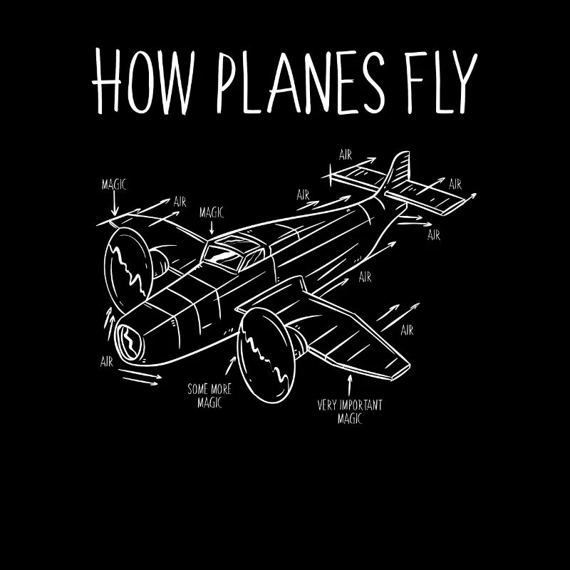 Comment les avions volent