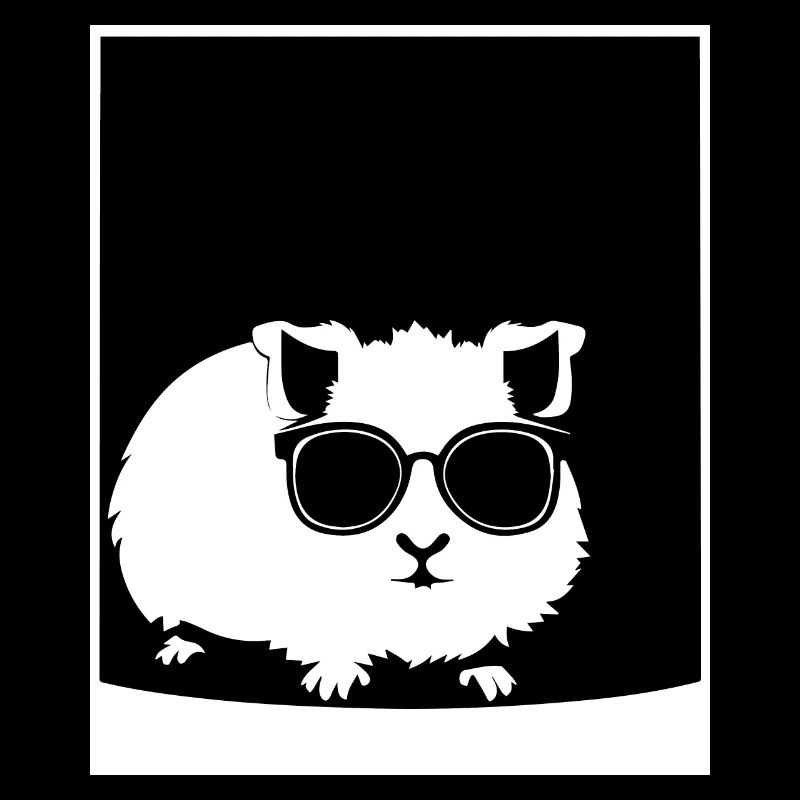 Cochon d’Inde drôle avec des lunettes de soleil Cochons d’Inde