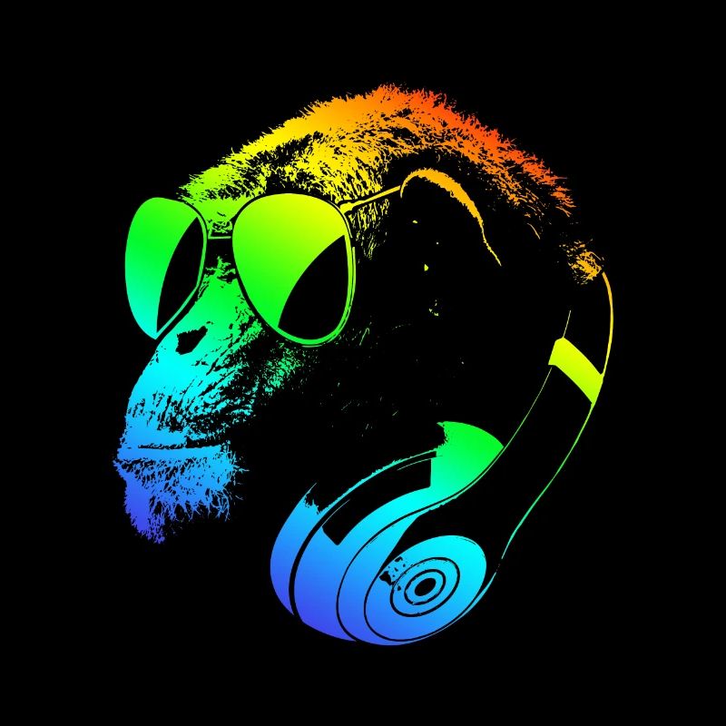 DJ Ape Gorilla Monkey Musique Techno Monkey