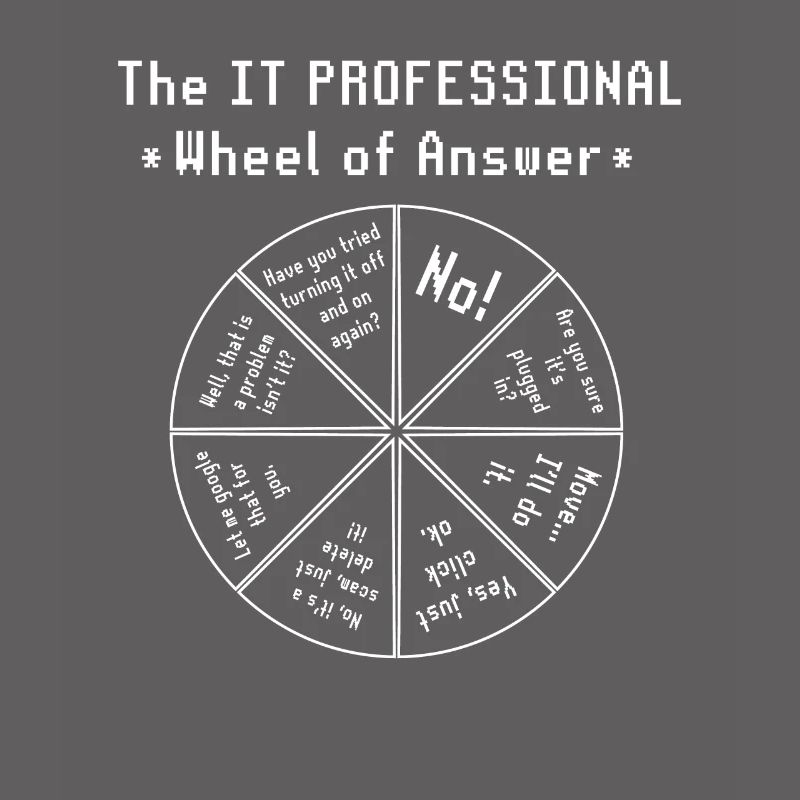 The IT Professional Computer Software Programmer