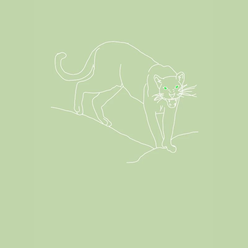 panther