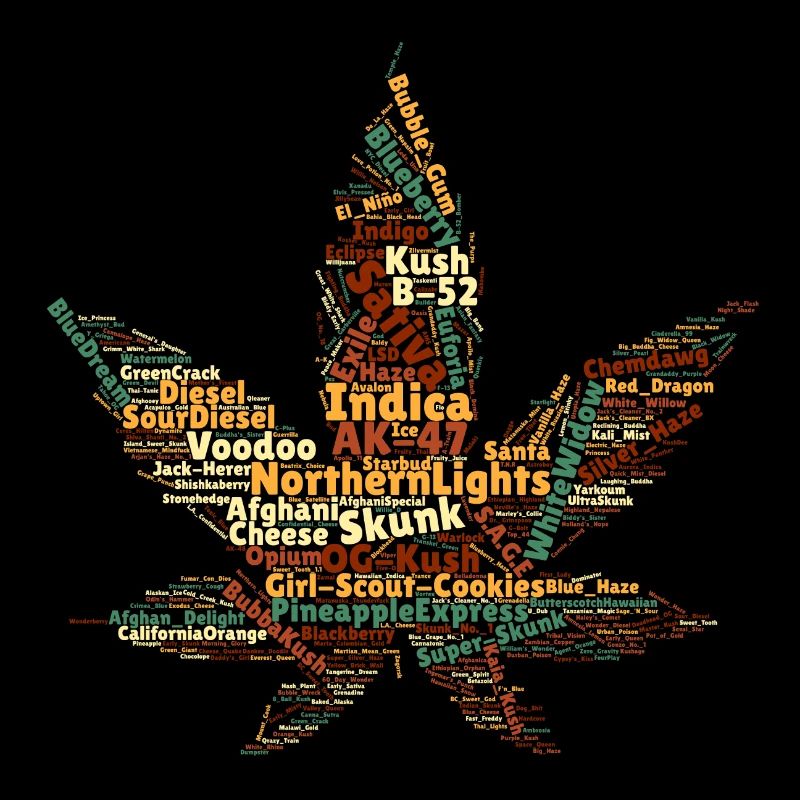 Variétés de cannabis nom de chanvre souche feuille de chanvre
