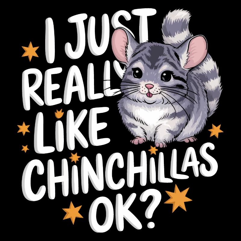 Chinchilla Chinchillas Mouse